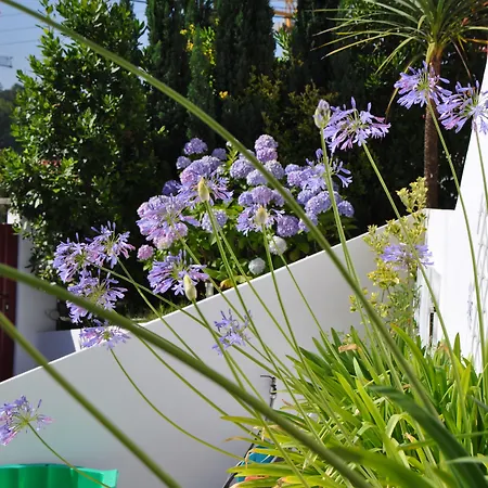 Chez Phil Et Dom 3* Biarritz