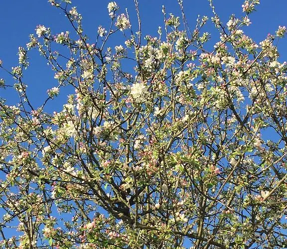 B&B Chez Phil Et Dom 3*