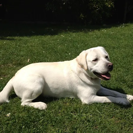 住宿加早餐酒店 Chez Phil Et Dom 比亚里茨