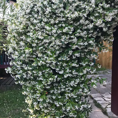 Chez Phil Et Dom 住宿加早餐酒店 比亚里茨