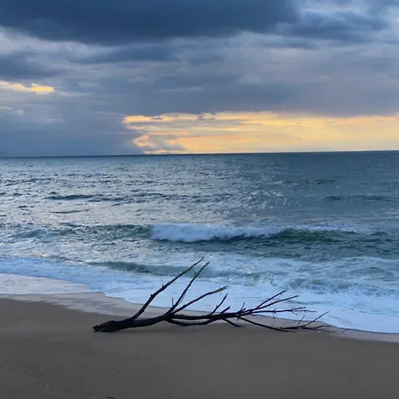 Chez Phil Et Dom 比亚里茨