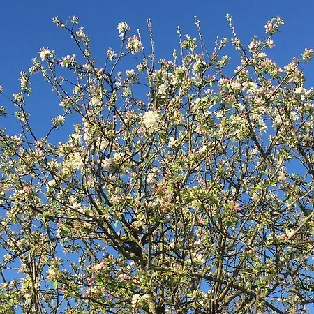 住宿加早餐酒店 Chez Phil Et Dom 3*