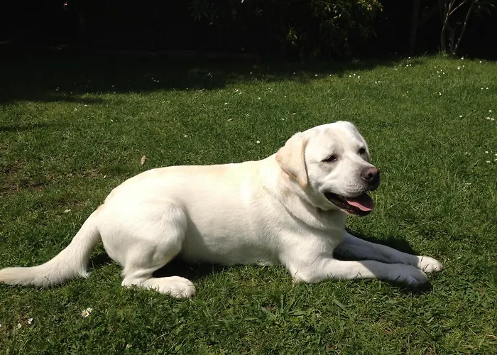 Bed & Breakfast Chez Phil Et Dom Biarritz