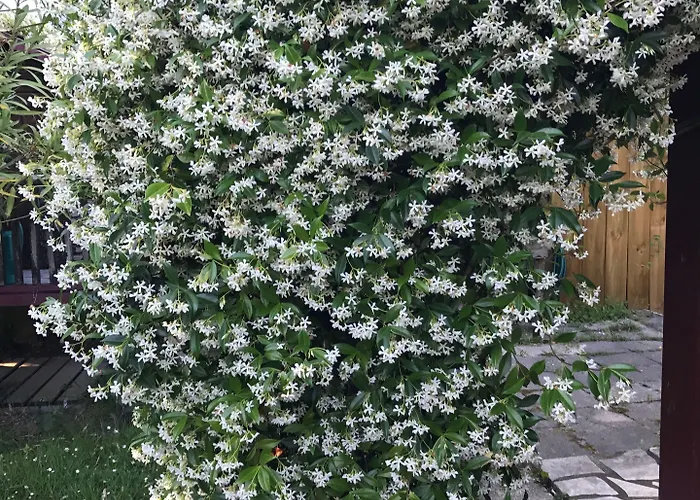 Chez Phil Et Dom Отель типа 