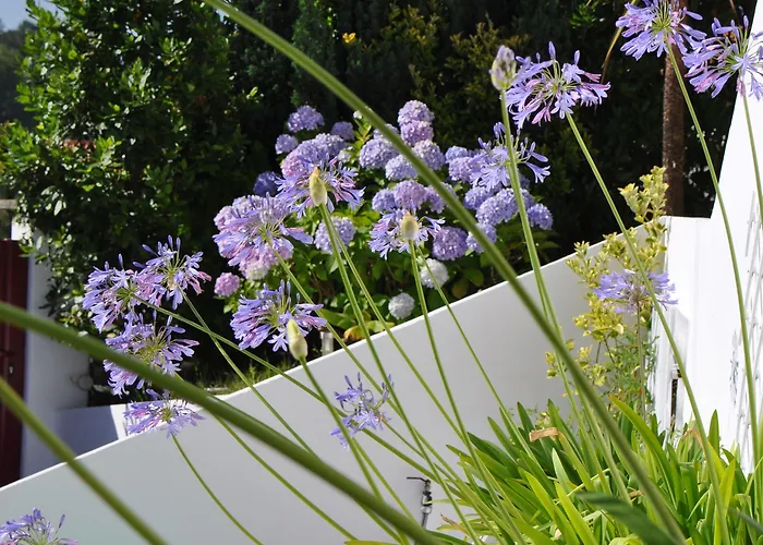 Chez Phil Et Dom 3* Биарриц