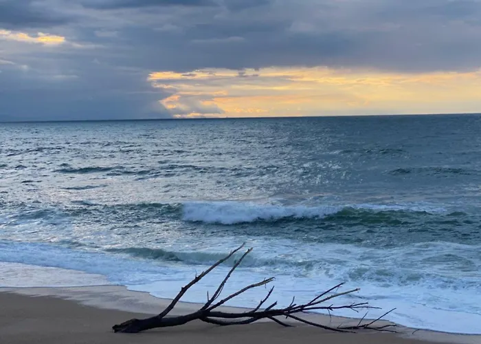 Chez Phil Et Dom Biarritz