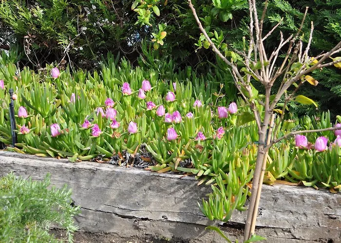 Chez Phil Et Dom Отель типа 