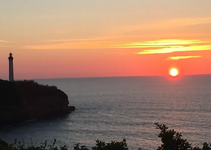 Chez Phil Et Dom Biarritz